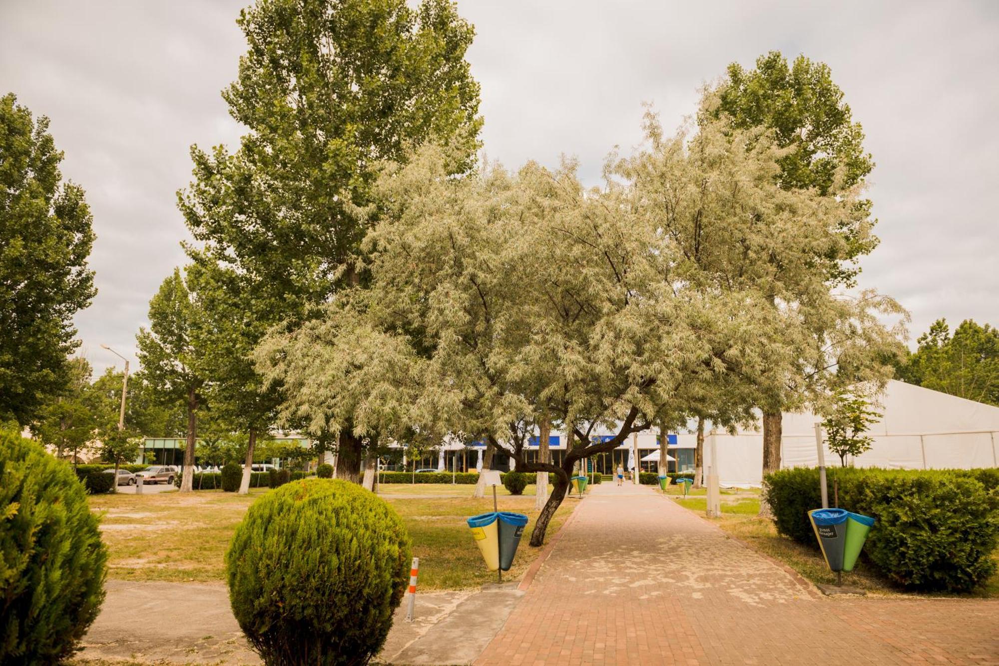 Enigma Resort Mamaia Exterior photo